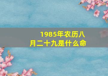 1985年农历八月二十九是什么命