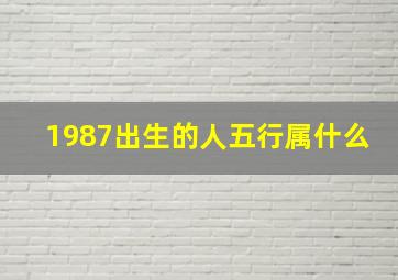 1987出生的人五行属什么