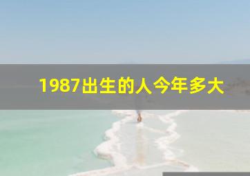 1987出生的人今年多大