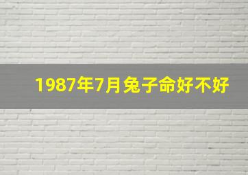 1987年7月兔子命好不好