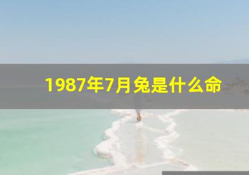 1987年7月兔是什么命