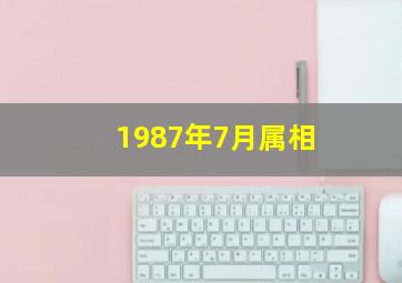 1987年7月属相