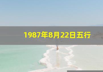 1987年8月22日五行