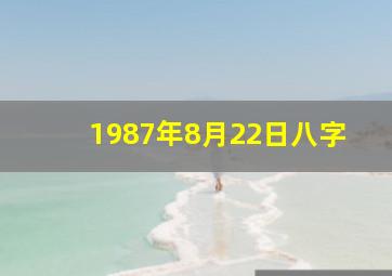 1987年8月22日八字