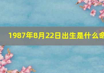 1987年8月22日出生是什么命