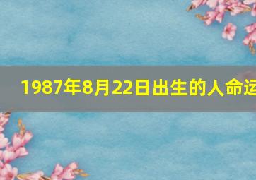 1987年8月22日出生的人命运