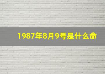 1987年8月9号是什么命