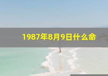 1987年8月9日什么命