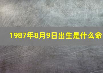 1987年8月9日出生是什么命