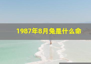 1987年8月兔是什么命