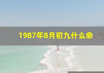 1987年8月初九什么命