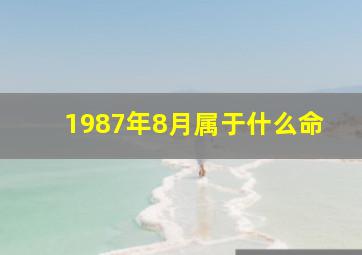 1987年8月属于什么命