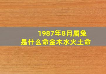 1987年8月属兔是什么命金木水火土命