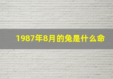 1987年8月的兔是什么命