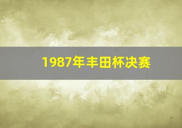 1987年丰田杯决赛