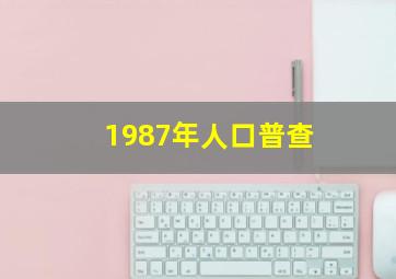 1987年人口普查