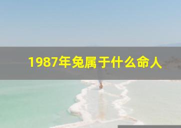 1987年兔属于什么命人