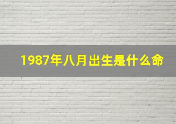 1987年八月出生是什么命