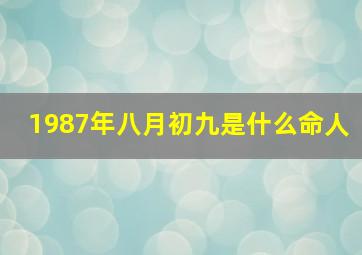 1987年八月初九是什么命人