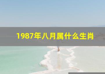 1987年八月属什么生肖