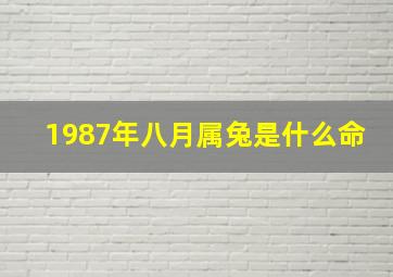 1987年八月属兔是什么命