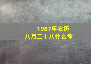 1987年农历八月二十八什么命