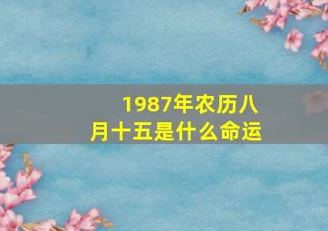 1987年农历八月十五是什么命运