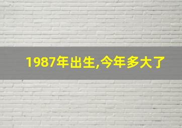 1987年出生,今年多大了