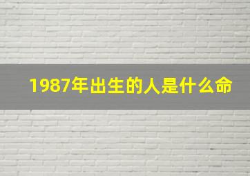 1987年出生的人是什么命