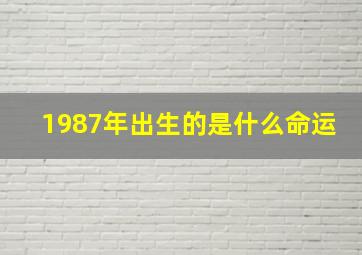 1987年出生的是什么命运