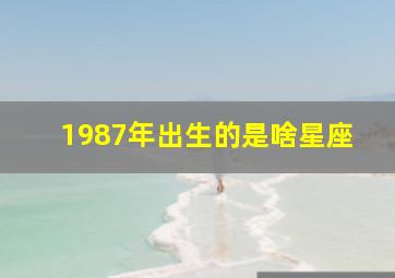 1987年出生的是啥星座