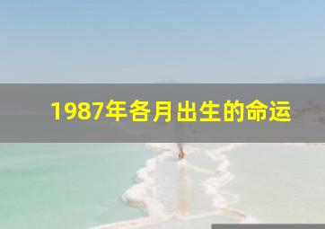 1987年各月出生的命运