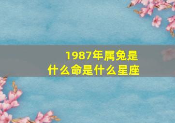 1987年属兔是什么命是什么星座