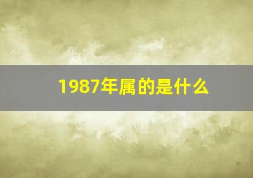 1987年属的是什么