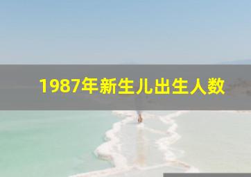 1987年新生儿出生人数