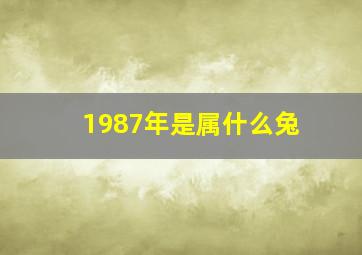 1987年是属什么兔