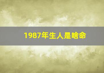 1987年生人是啥命