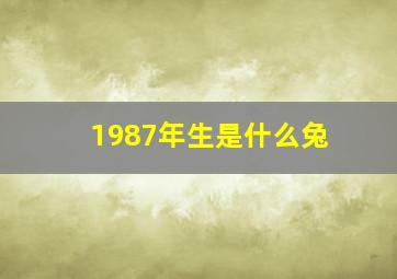 1987年生是什么兔