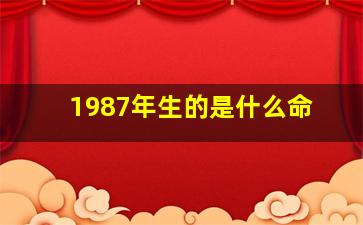 1987年生的是什么命