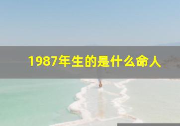 1987年生的是什么命人