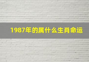 1987年的属什么生肖命运