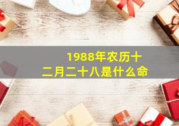 1988年农历十二月二十八是什么命