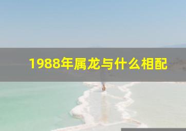 1988年属龙与什么相配