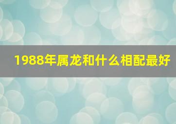 1988年属龙和什么相配最好