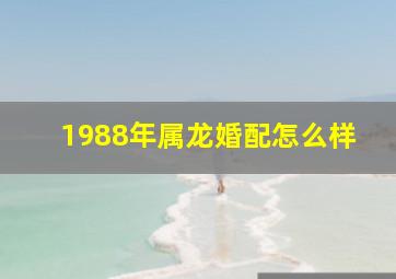 1988年属龙婚配怎么样