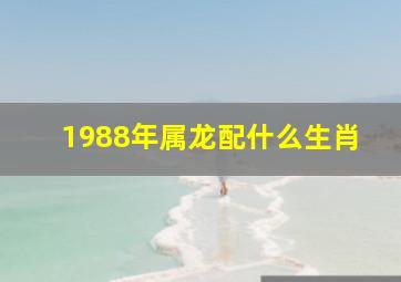 1988年属龙配什么生肖