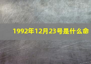 1992年12月23号是什么命