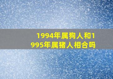 1994年属狗人和1995年属猪人相合吗