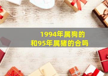 1994年属狗的和95年属猪的合吗