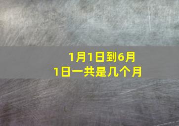 1月1日到6月1日一共是几个月